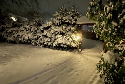 bildergalerie image 25
