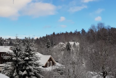 bildergalerie image 15